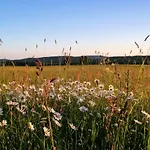 Edelweiss - Adults Only Panzió *