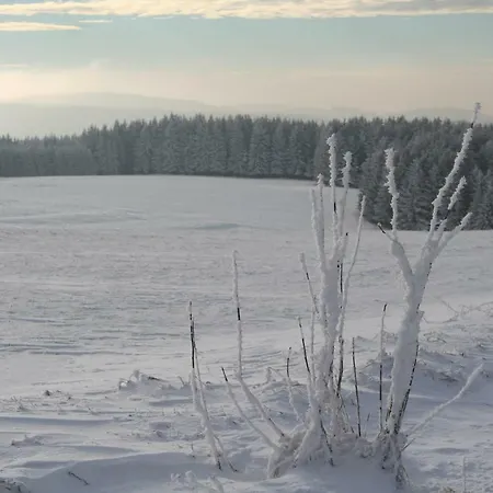 Edelweiss - Adults Only Отель типа 