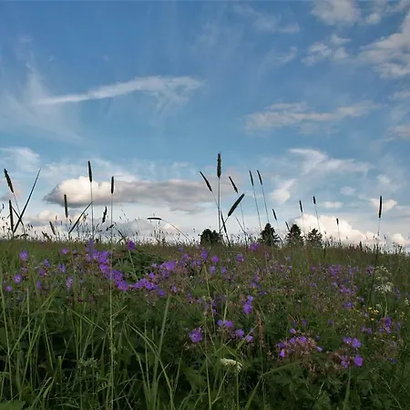 Edelweiss - Adults Only Отель типа 