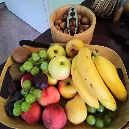 Bed & Breakfast Edelweiss - Adults Only Neustadt am Rennsteig