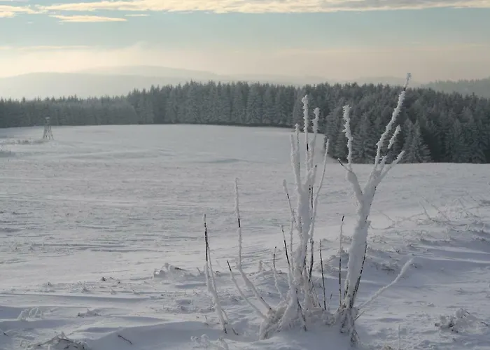 Edelweiss - Adults Only Oda ve Kahvaltı *