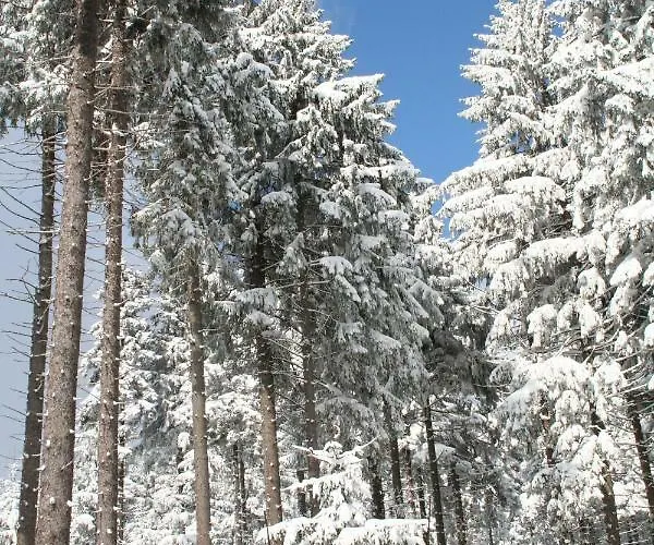 Oda ve Kahvaltı Edelweiss - Adults Only *