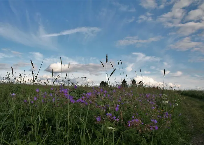 Edelweiss - Adults Only Oda ve Kahvaltı
