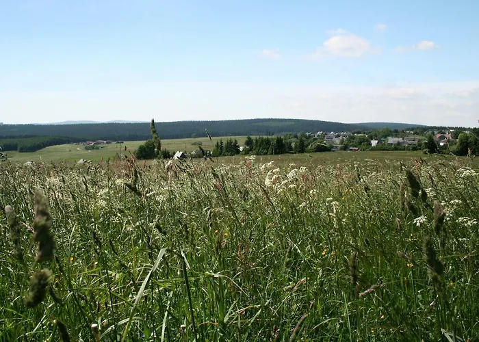 Edelweiss - Adults Only *