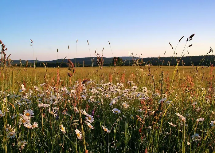Edelweiss - Adults Only Oda ve Kahvaltı *