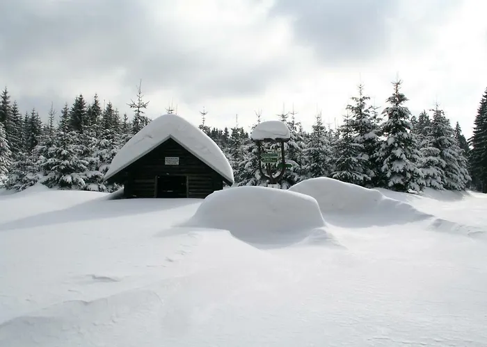 Edelweiss - Adults Only *