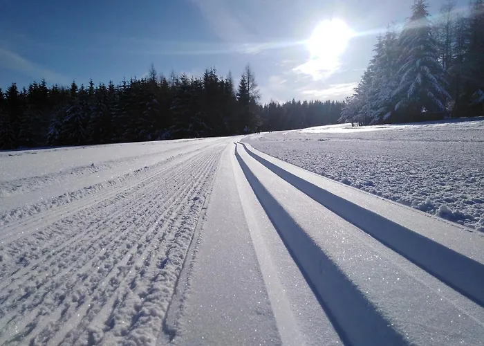 Edelweiss - Adults Only Neustadt am Rennsteig